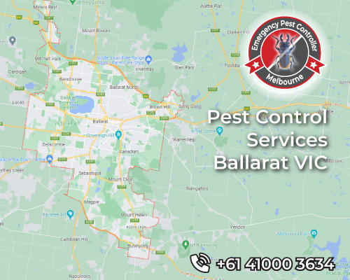 <small>Pest Control</small> Ballarat