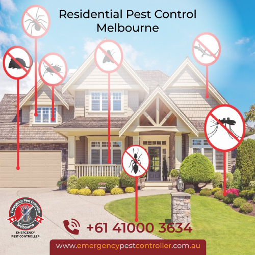Residential Pest Control