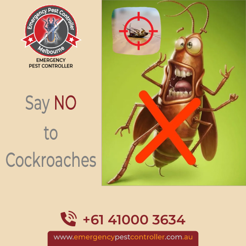 Cockroach Pest Control