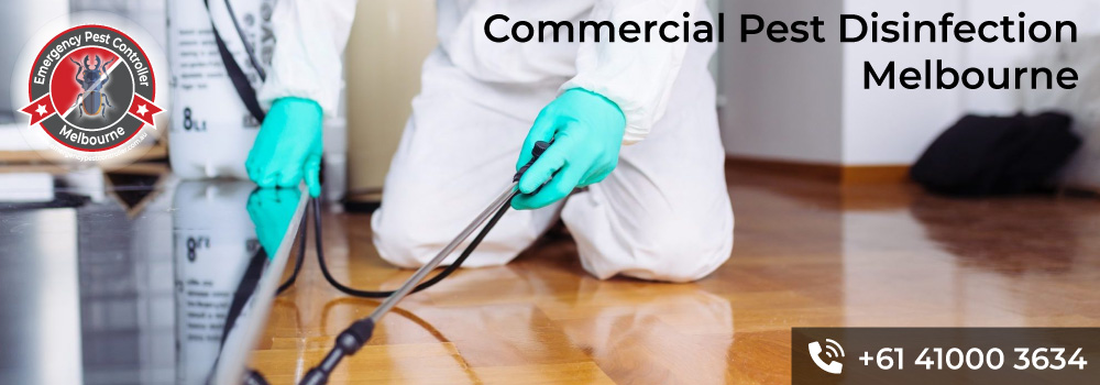 Commercial Pest Control