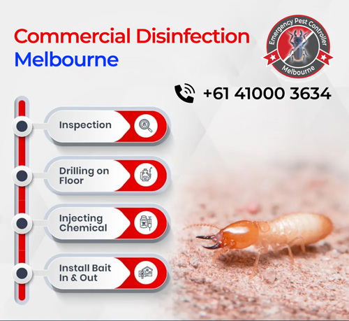 Commercial Pest Control
