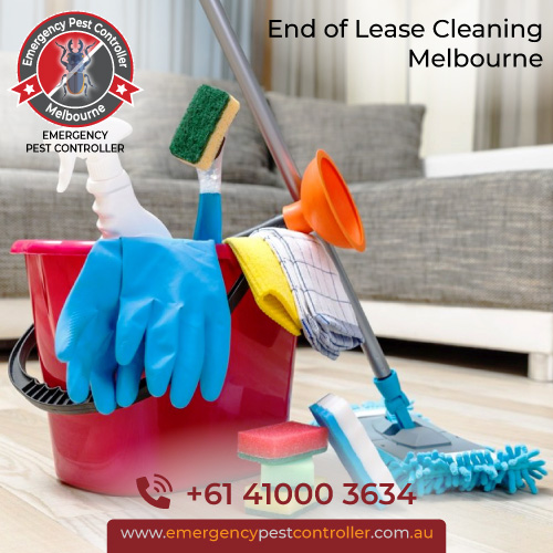 End of Lease Pest Control