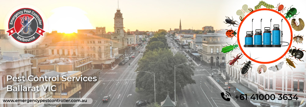 <small>Pest Control</small> Ballarat