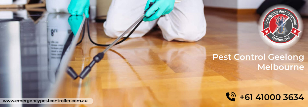 <small>Pest Control</small> Geelong