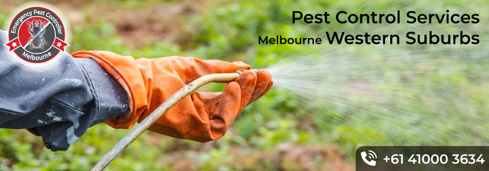 <small>Pest Control</small>  Western Suburbs