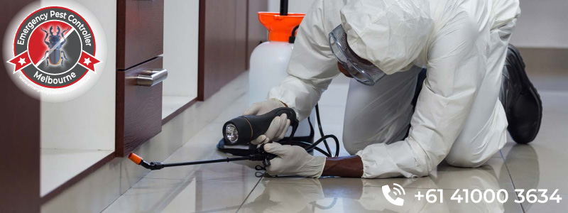 Residential Pest Control