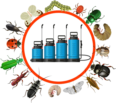 Top Rated Pest Control Company in Melbourne and all Suburbs