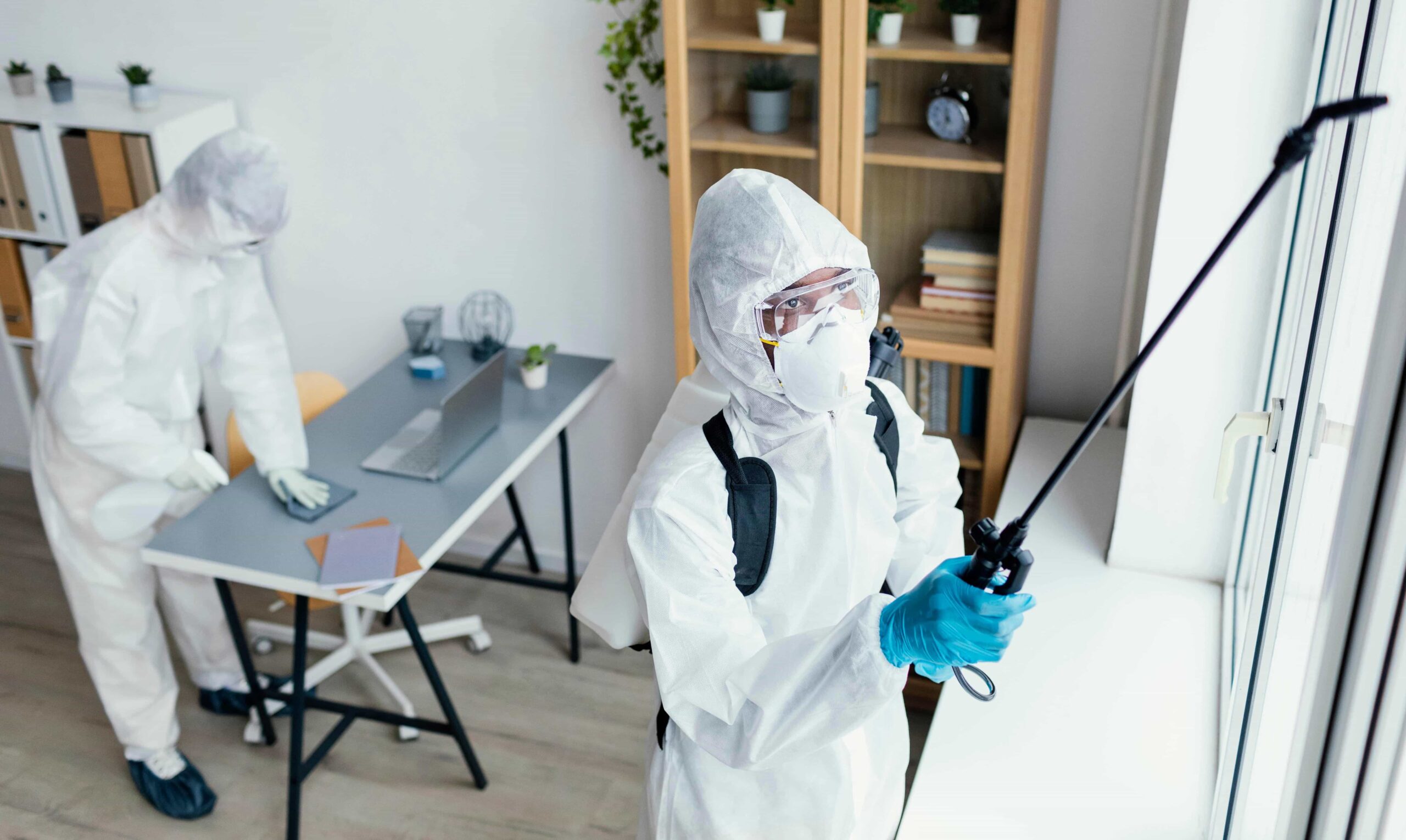 Top Pest Removal Company in Lorne