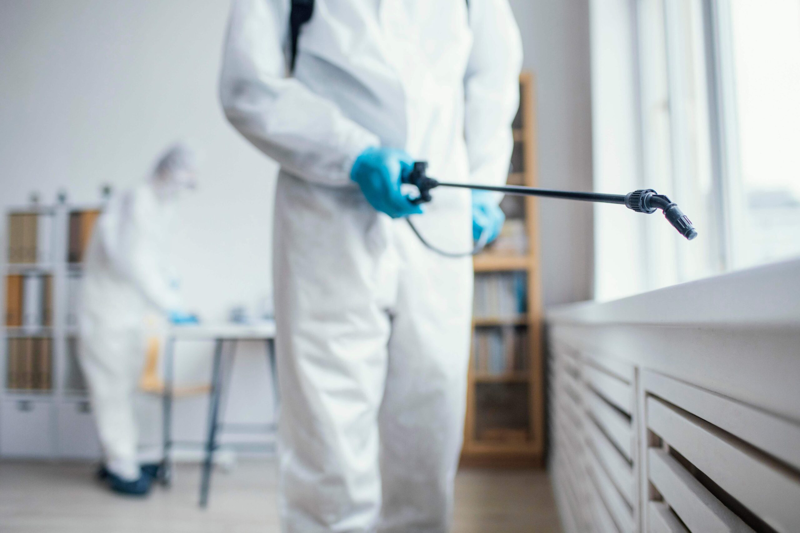 Dependable Pest Control Company in Barwon Heads 