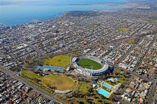 geelong pest control